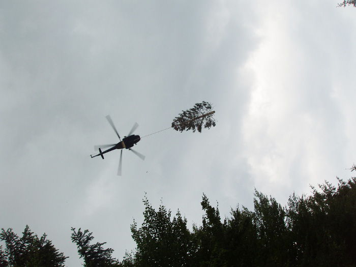 Forstliche Dienstleistungen durch Hannes Zwölfer in Grafrath: Holzbringung mit Helikopter im Gebirge