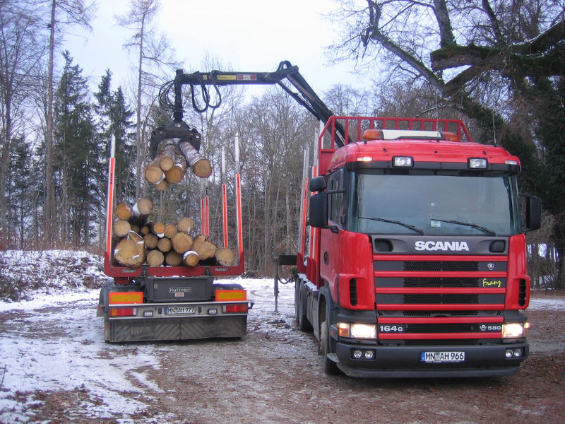 Forstliche Dienstleistungen durch Hannes Zwölfer in Grafrath: Holzhandel / Stämme werden abgefahren